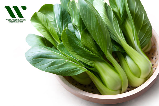 Wellness Farms Organic Bok Choy (Medium)