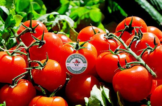 Wellness Farms Organic Cherry Tomatoes (250g)
