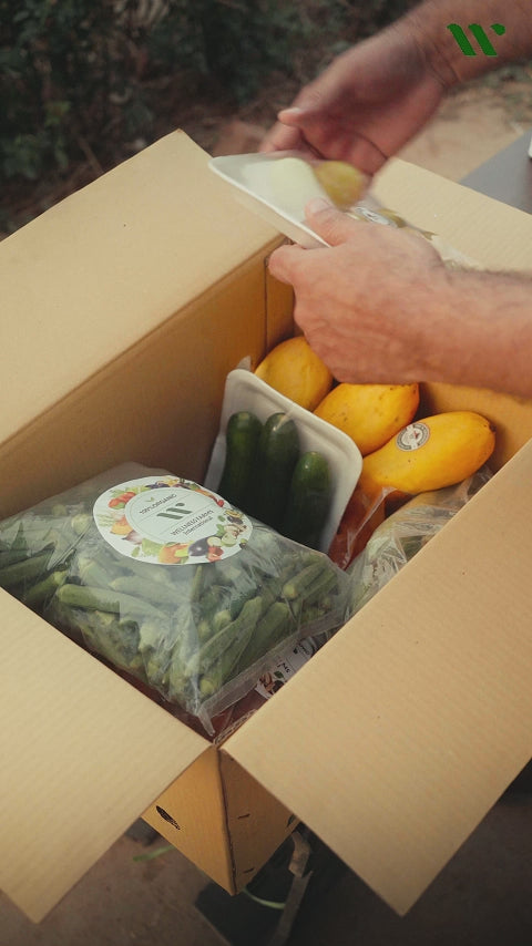 All Essential CSA Box