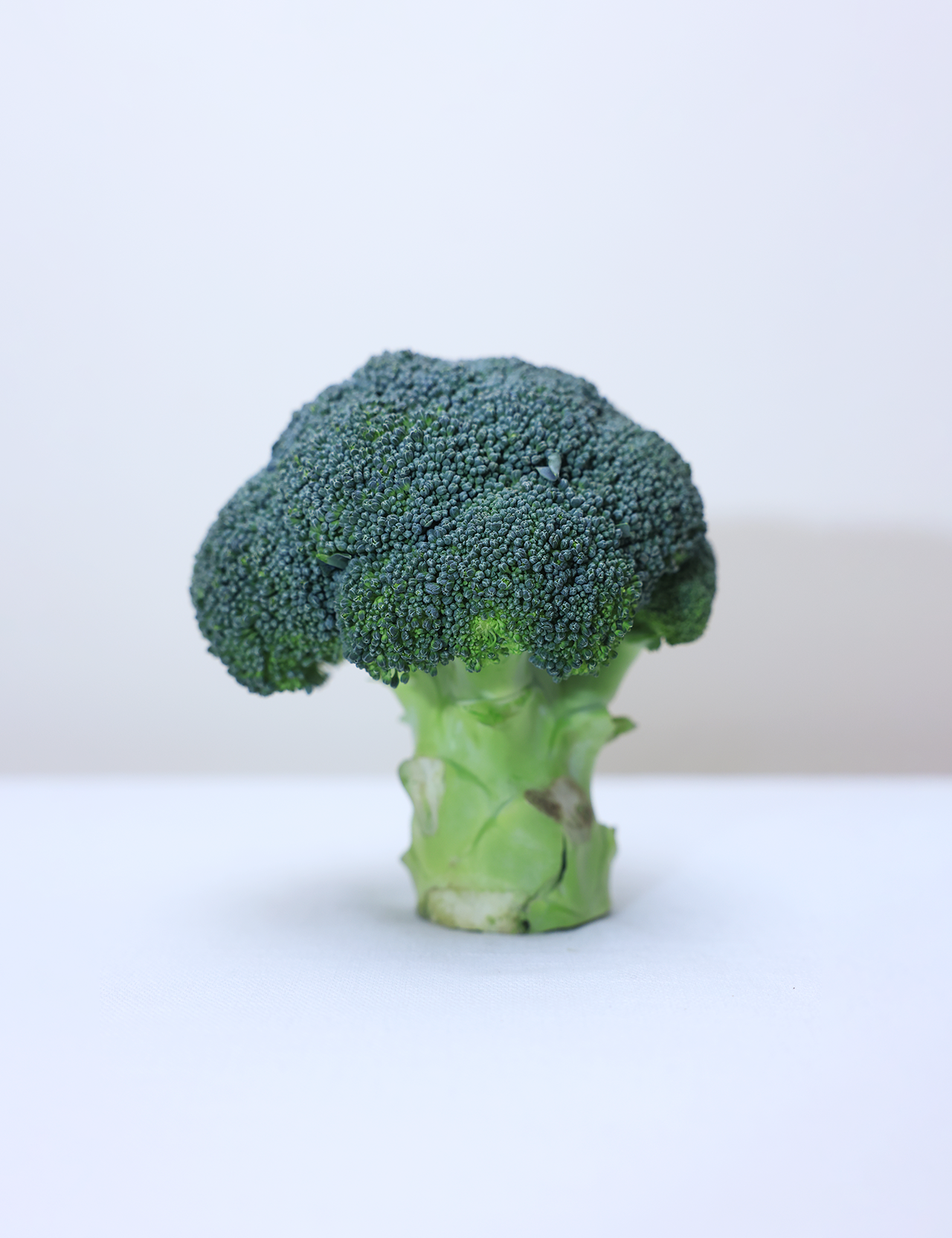 Wellness Farms Organic Broccoli (Medium Piece)