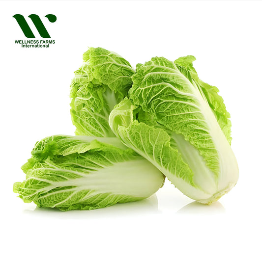 Wellness Farms Organic Chinese Cabbage (Large Piece)