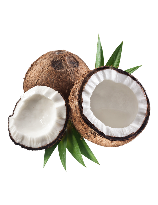 Pure Organic Coconut - Rs. 1,100 Per Piece