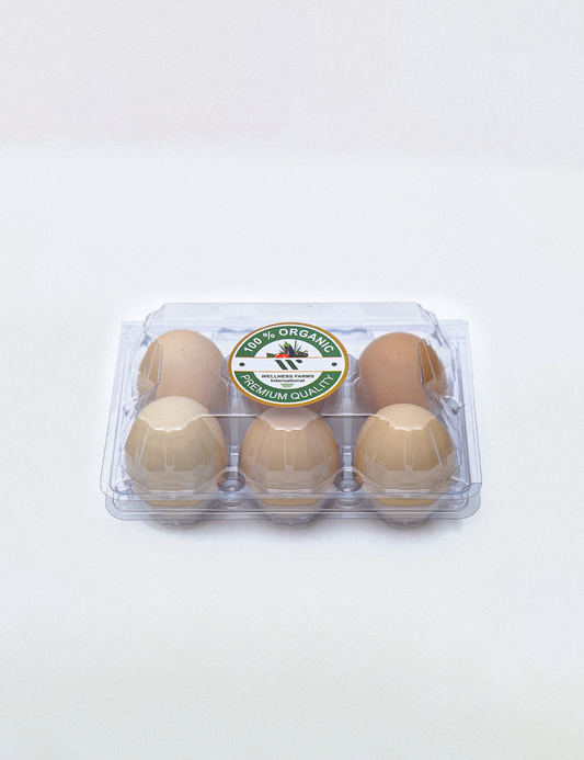 One Dozen (12) 100% Organic, Premium Quality Eggs