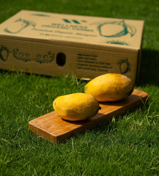 Fresh Organic Sindhri Mangoes