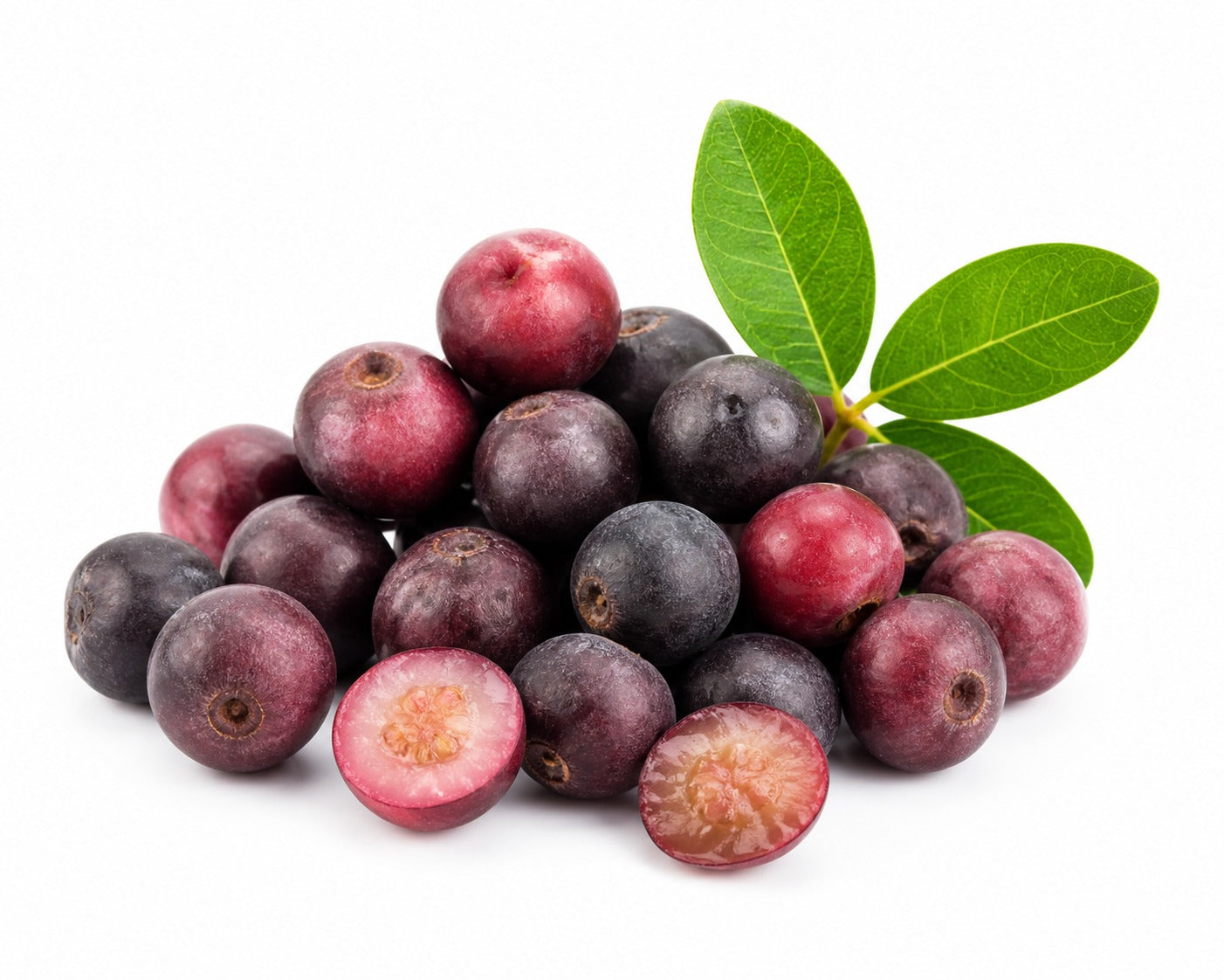 Organic Falsa 500 G