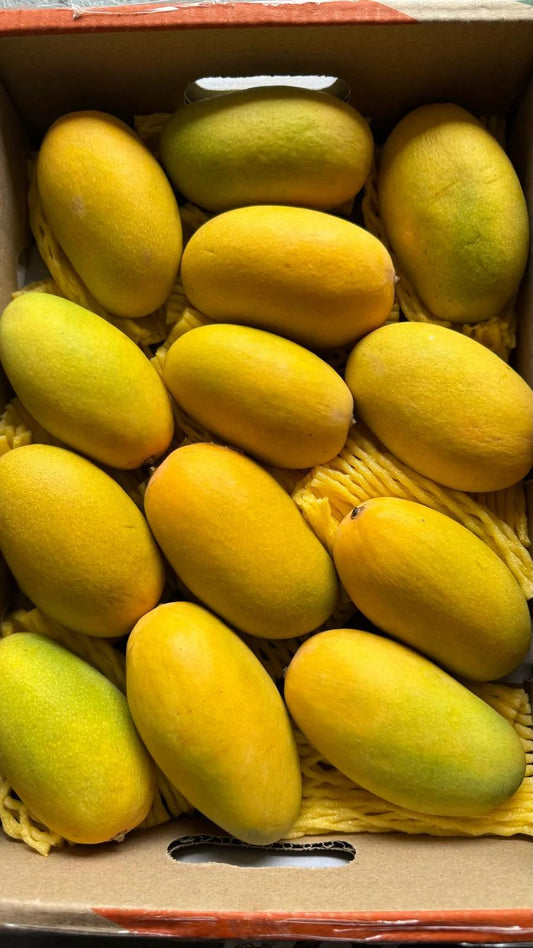 Fresh Organic Dasheri Mangoes