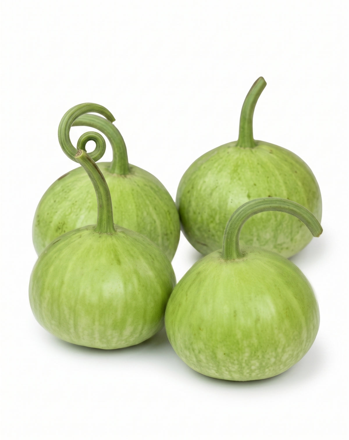 Fresh Organic Bottle Gourd (Ghia Kadu) - 250g