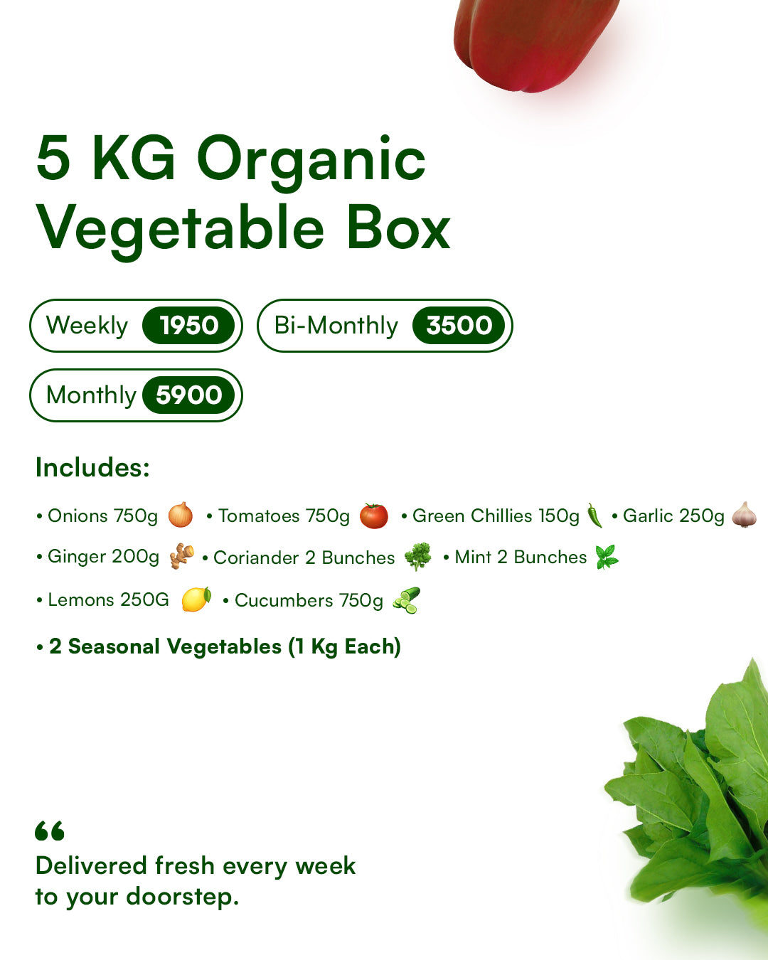 CSA Organic Vegetable Box