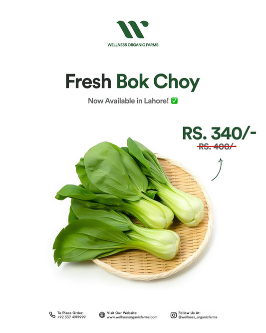 Wellness Farms Organic Bok Choy (Medium)