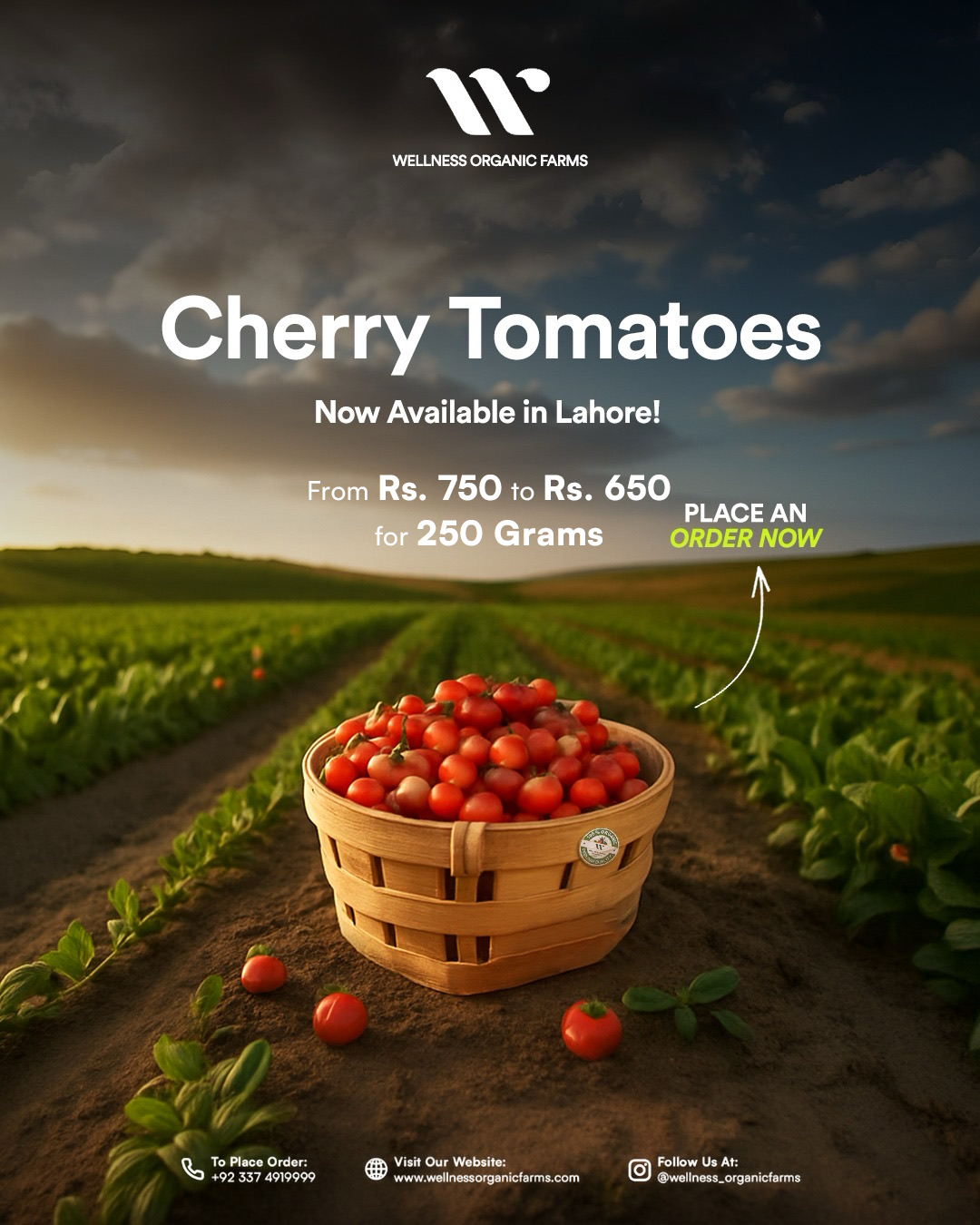 Wellness Farms Organic Cherry Tomatoes (250g)