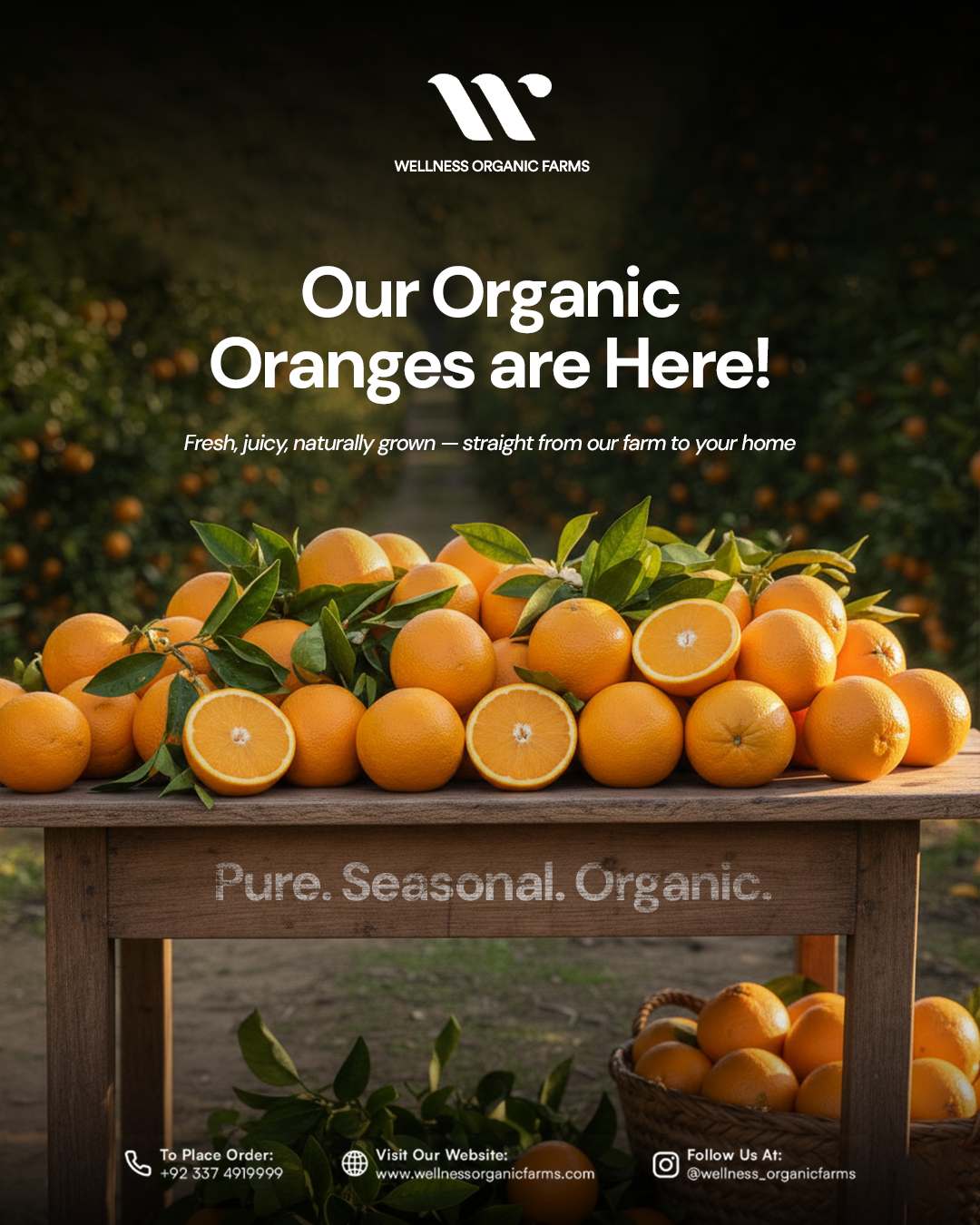 Organic Musami Oranges