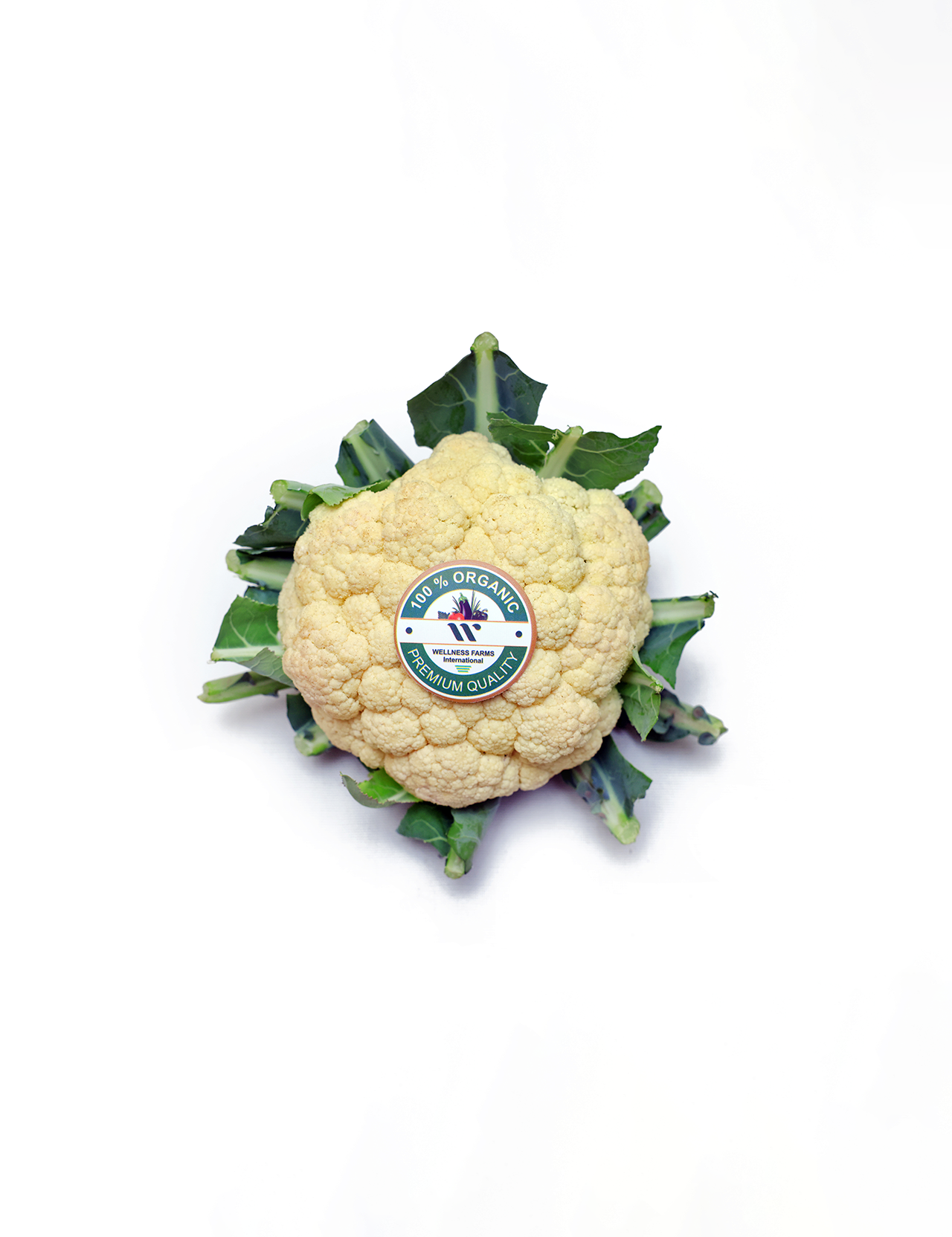 Wellness Farms Organic Cauliflower (1 Head)