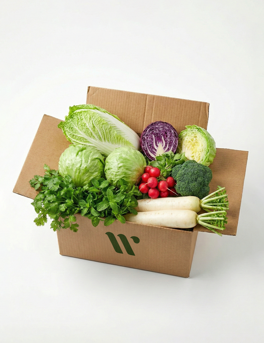 CSA Salad Box – Fresh Organic Salad Vegetables