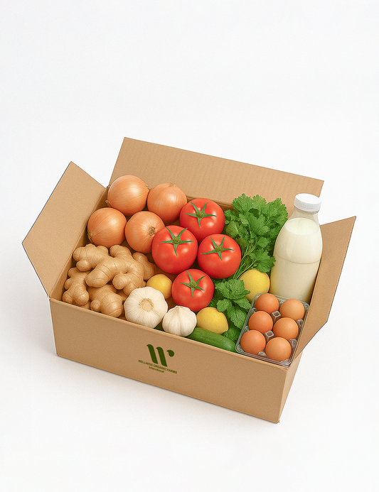 CSA Box