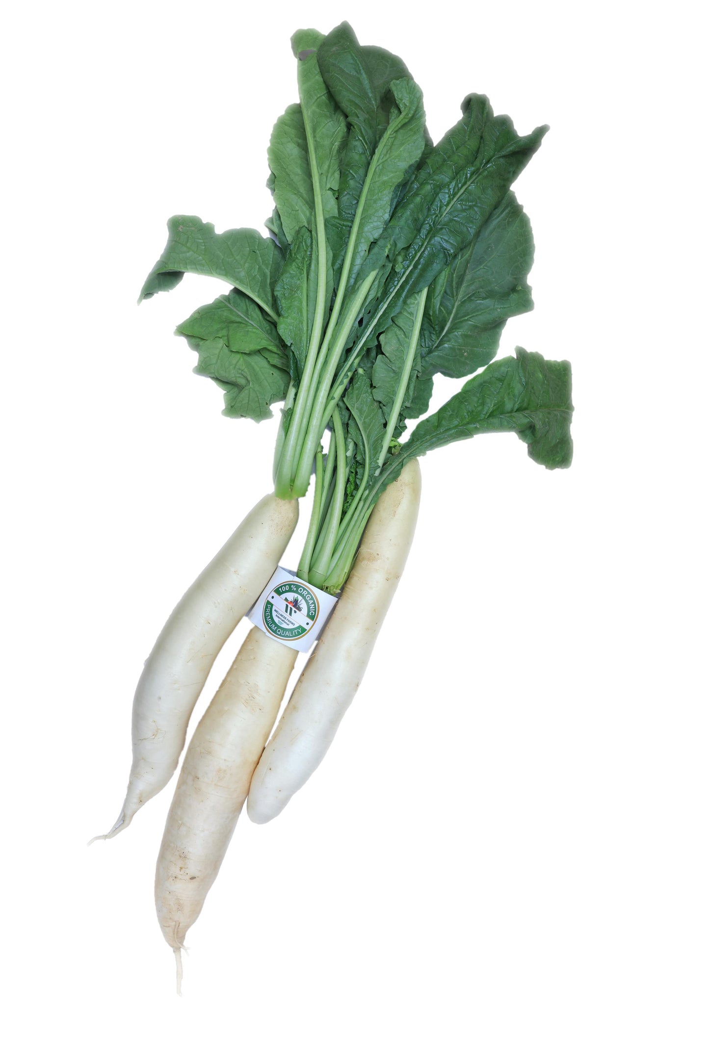 Organic White Radishes 250g