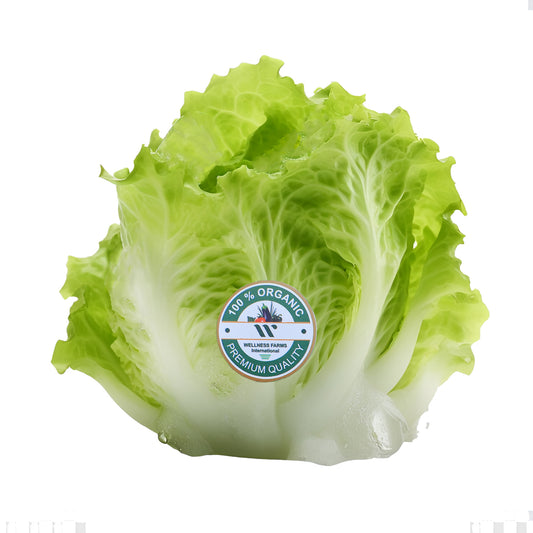 Wellness Farms Organic Iceberg Lettuce (250g)